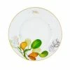 Vista Alegre - Amazonia Dinner Plate